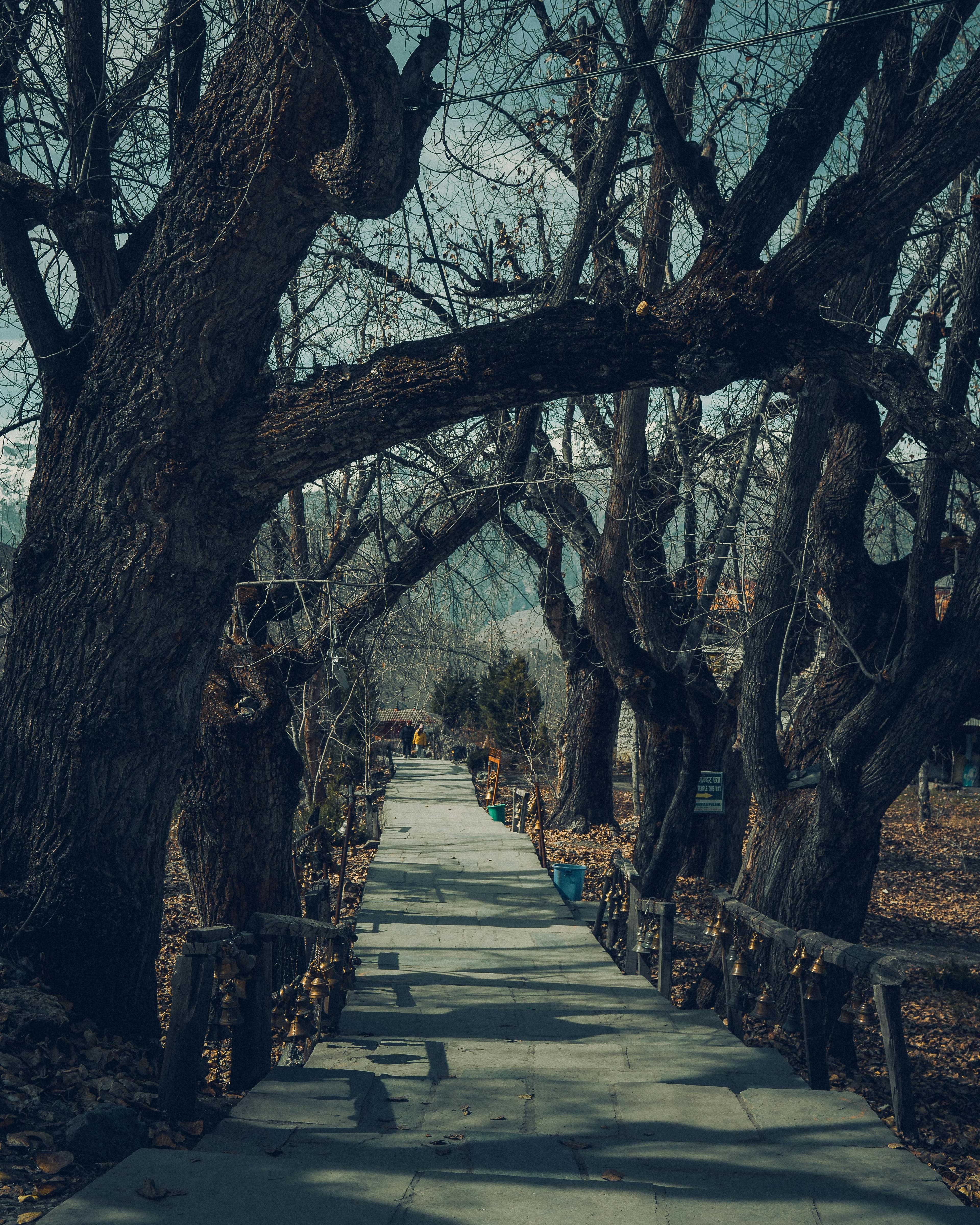 Trip to Skardu — Northern Adventure gallery 4